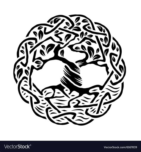 Celtic tree of life Royalty Free Vector Image - VectorStock