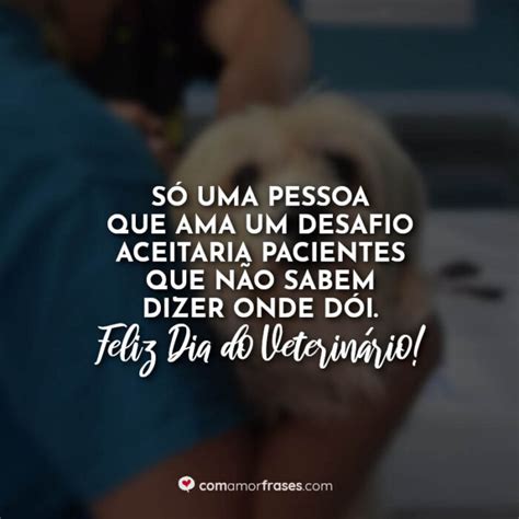 Frases para o Dia do Veterinário 2022 Amor Frases