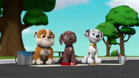 Watch Paw Patrol All Paws On Deck S9 E16 Directv