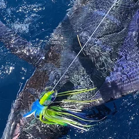 Top Producing Blue Marlin Lure Pepal Grande Fathom Offshore