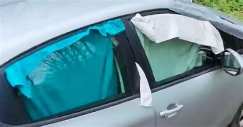 Fake Taxi With Blinds Spotted In Woods Before Man Drives Off With Naked Woman Inside Daily Star