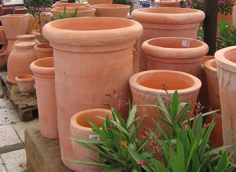 Sortiment Haufler Baumschule Und Gartengestaltung