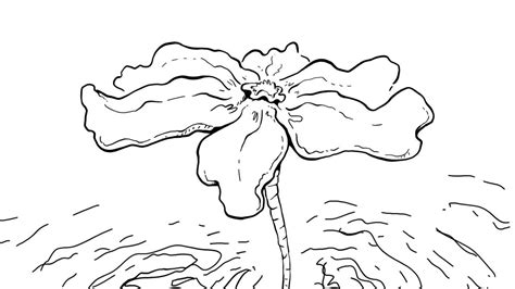 Fleur de Male by Youriik on DeviantArt