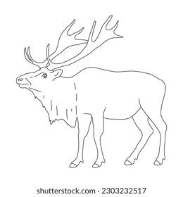 Elk Line Art Drawing Style Vector Stock Vector (Royalty Free ...