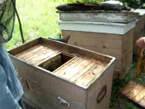 Откачка меда в Украинском лежаке на теплый занос MOV - YouTube