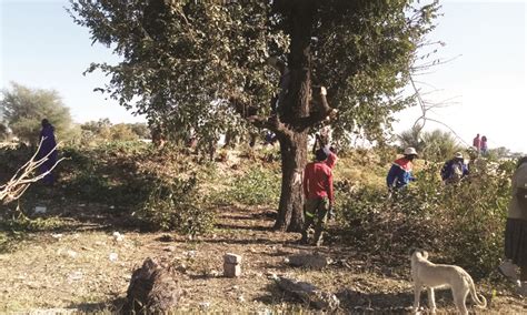 Desperate Women Turn To Sex Work At Oshakati News The Namibian