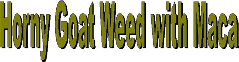 Horny Goat Weed With Maca