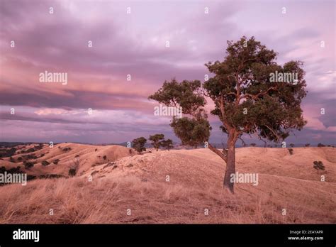 An Australian Sunset Scene Stock Photo Alamy