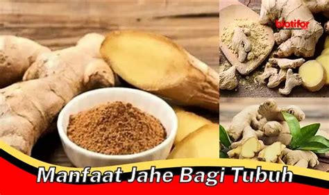 Temukan Manfaat Jahe Yang Jarang Diketahui Biotifor