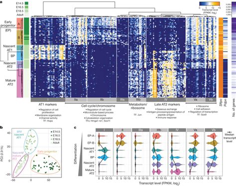 Microfluidic single-cell RNA sequencing (RNA-seq) on 198 individual ...