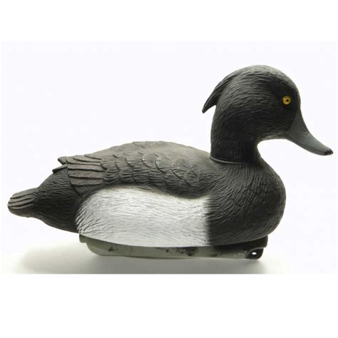 Чучело 62 Breite Чернеть Хохлатая - Селезень