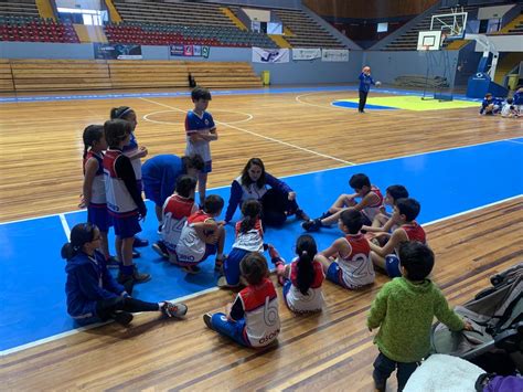Resumen Deportivo De F Tbol B Squetbol Y Voleibol Lyc E Claude Gay Osorno Colegio Franc S