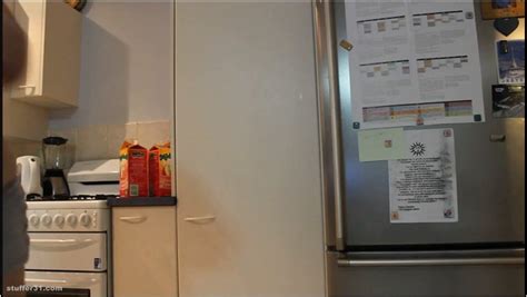 Layla BBW Mcdonalds And Kfc