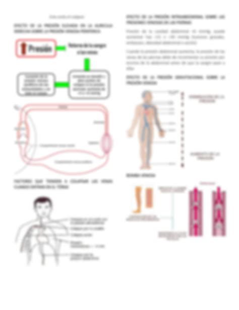 Solution Distensibilidad Vascular Y Funciones Del Sistema Arterial Y