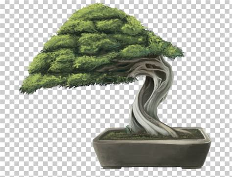 Sageretia Theezans Bonsai Flowerpot Tree Yixing PNG Clipart Bonsai