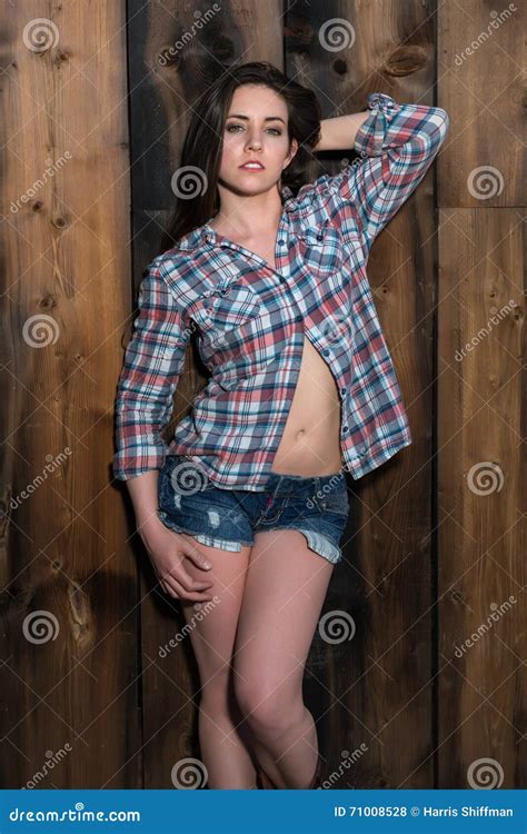 Brunette In Shirt And Shorts Stock Photo Image Of Beauty Wooden