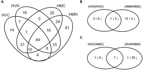 Venn Diagrams Showing The Number Of Identified Proteins In All Download Scientific Diagram