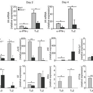 Dec2 Deficiency Results In Impaired T H 2 Differentiation In Vitro A