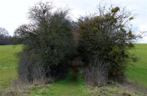 enfer  zowdoto  deviantart