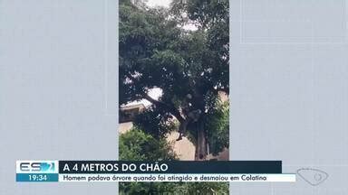 Boa Noite Espírito Santo edição regional Homem é resgatado em árvore