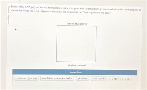 Solved Suppose that RNA polymerase was transcribing a | Chegg.com