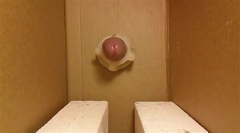 Edging A Massive Load Of Cum Into My Own Mouth Canadian Gay Amateur Porn Xhamster