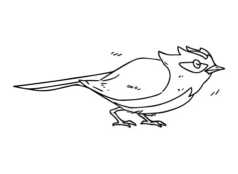 Color Rookidee Coloring Page Free Printable Coloring Pages