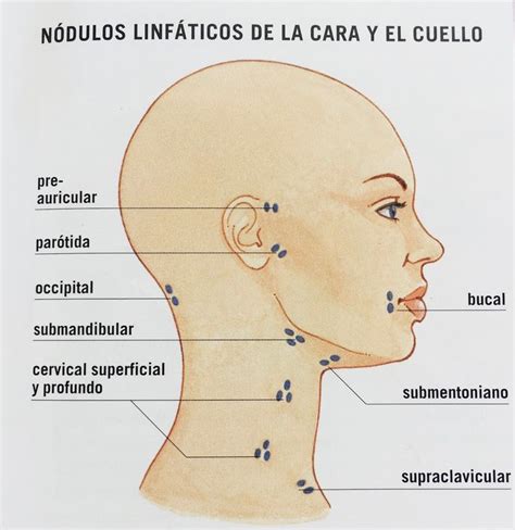 Pin By Leonor P Rez On Nuskin Facial Spa Facial Massage Techniques