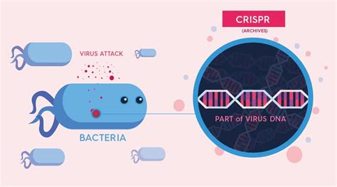 CRISPR Cas9 A Troubling Genetic Revolution MedicalExpo E Magazine