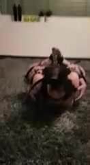 Self Bondage Experiments With BDSM Free Porn 0d XHamster XHamster