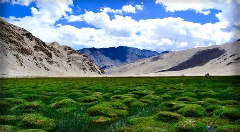 Puga Valley, Ladakh - A Complete Tourist Guide - Discover Leh Ladakh