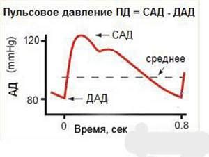 Кардиологи рассказали, почему мы часто ошибаемся при измерении давления