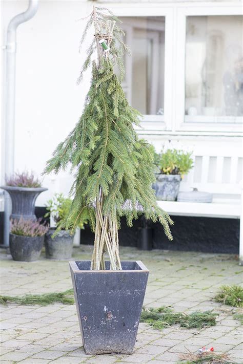 Как сделать елку из еловых веток? | Рождество на улице, Рождественские ...