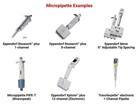 Micropipette: Types, Parts, Working, Uses, 5 Examples