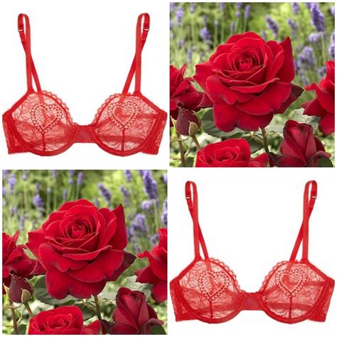 Lingerie A Mostra Estilo Próprio By Sir Lingerie A Mostra