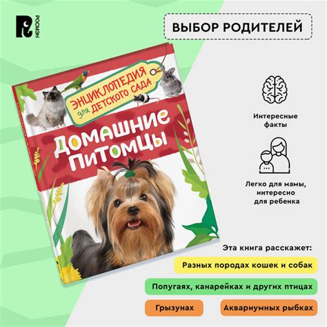 Домашние питомцы. Энциклопедия для детского сада. Познавательные факты ...