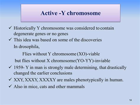 Sex Determination Mechanisms In Plants Pptx