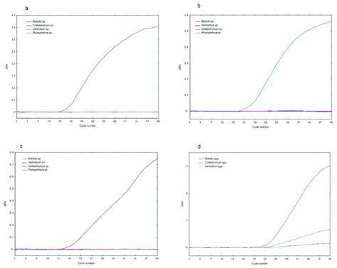 Amplification Plots Of Designed Singleplex And Multiplex Real Time Pcr