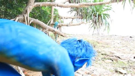 Body Paint Bodypaint Pokemon Pornhub Gay