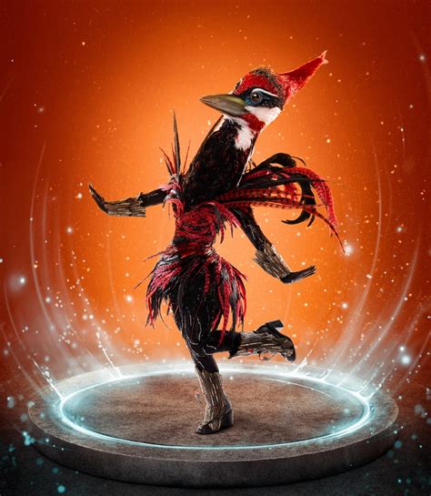 The Masked Singer: Who Is Woodpecker?