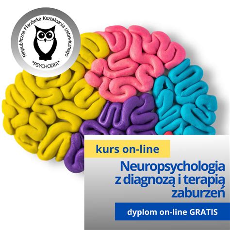 Podstawy neuropsychologii z diagnozą i terapią zaburzeń osób z