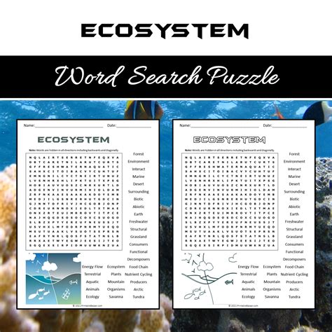 All About Ecosystem Word Search Puzzle Made By Teachers