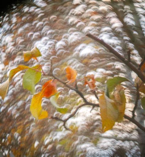 Get Ready to Fall in Love with Bri Alexia - Through the Lens of Telegram 4