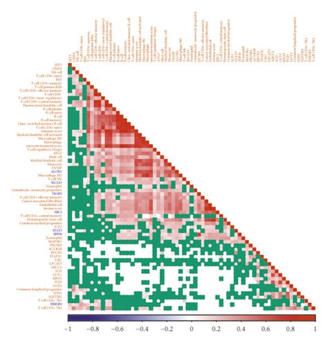 Immune Infiltration Analysis A Frg Related Risk Score Correlated