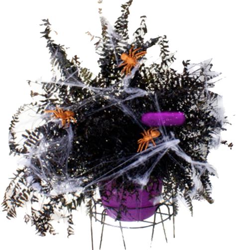Create Spooky Halloween Planters Planters Place