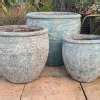 Shop Online For Specialist Large Garden Pots World Of Pots