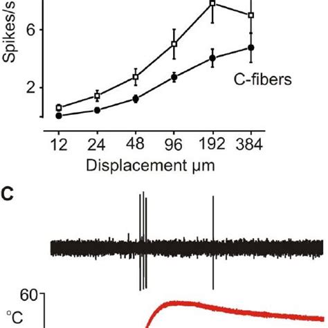Recordings From Naked Mole Rat Single Afferent Fibers In The Saphenous