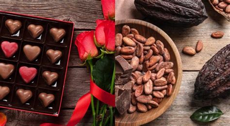 Caro San Valentín se dispara precio del cacao por impacto climático