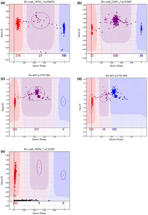 GenomeStudio Images Showing Representative SNP Cluster Patterns Across