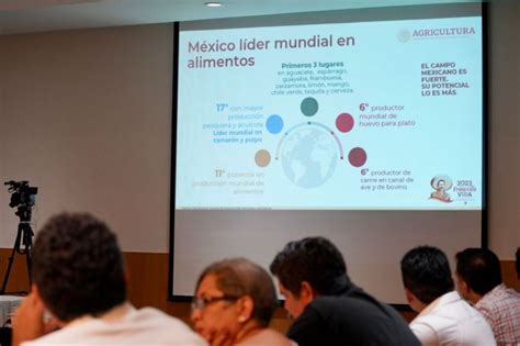 La Jornada Maya Quintana Roo La Jornada Maya Qroo Sede De La